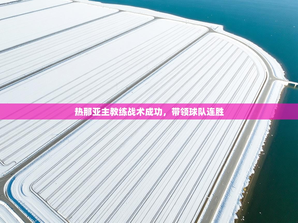 热那亚主教练战术成功，带领球队连胜  第2张