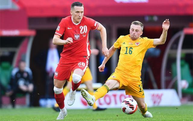 关于波兰队欧锦赛八强晋级，实力不可小觑的信息